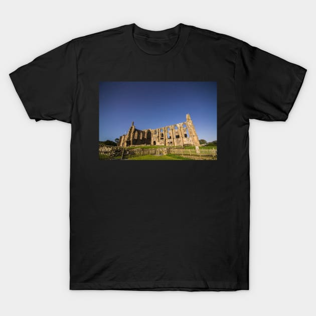 Bolton Abbey at Night IMG 5573 T-Shirt by Spookydaz